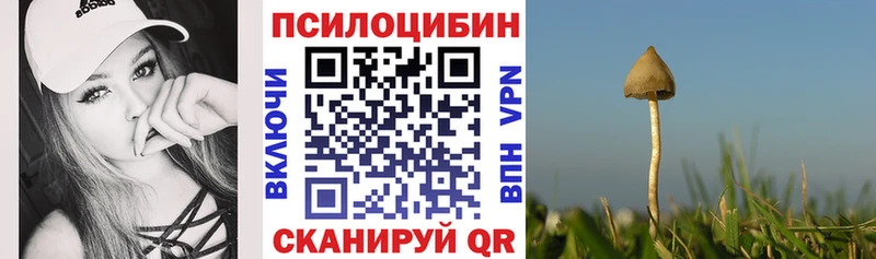 ОМГ ОМГ как зайти  Называевск  Галлюциногенные грибы Psilocybe 